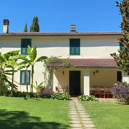 Bed and Breakfast Casa Del Pino à Borgo a Buggiano Extérieur photo